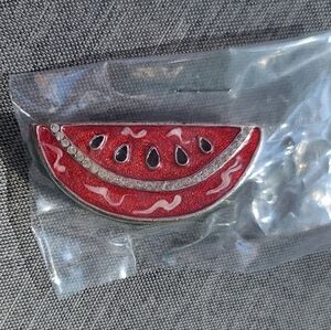 Watermelon Slice Brooch Pin